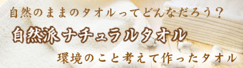 �ʥ����륿����