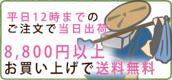 平日当日発送、送料無料