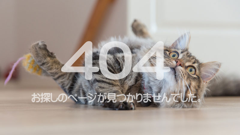 404ページ